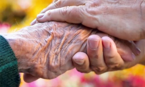 Aile ve Dini Rehberlik Bürosu Danışmanlığı