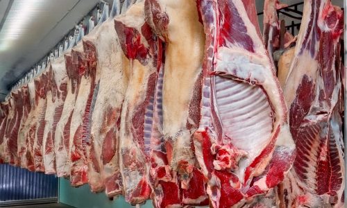 Endüstriyel Et İşleme