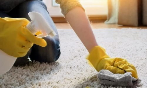 Halı Temizleme ve Bakımı Eğitimi