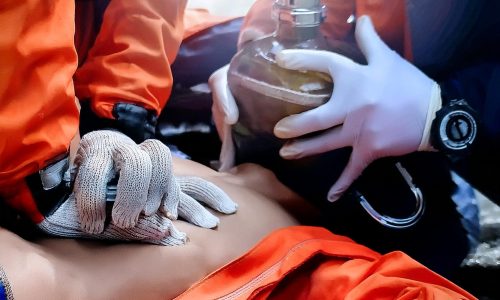 İşletmelerde Yaşam Desteği Beceri