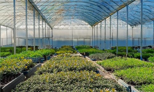 Seracılık Eğitimi